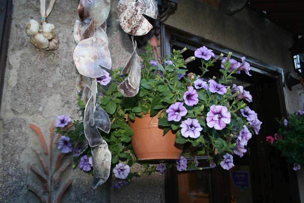 Assos Bohemian Hotel Buitenkant foto