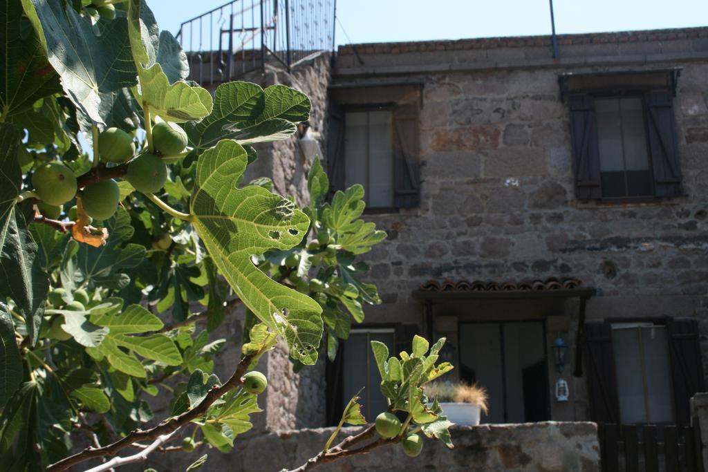 Assos Bohemian Hotel Buitenkant foto